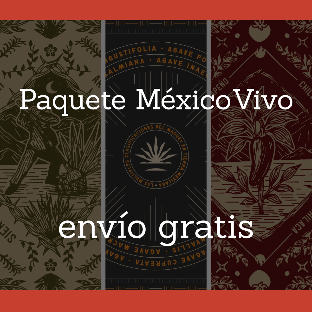 Paquete Raices