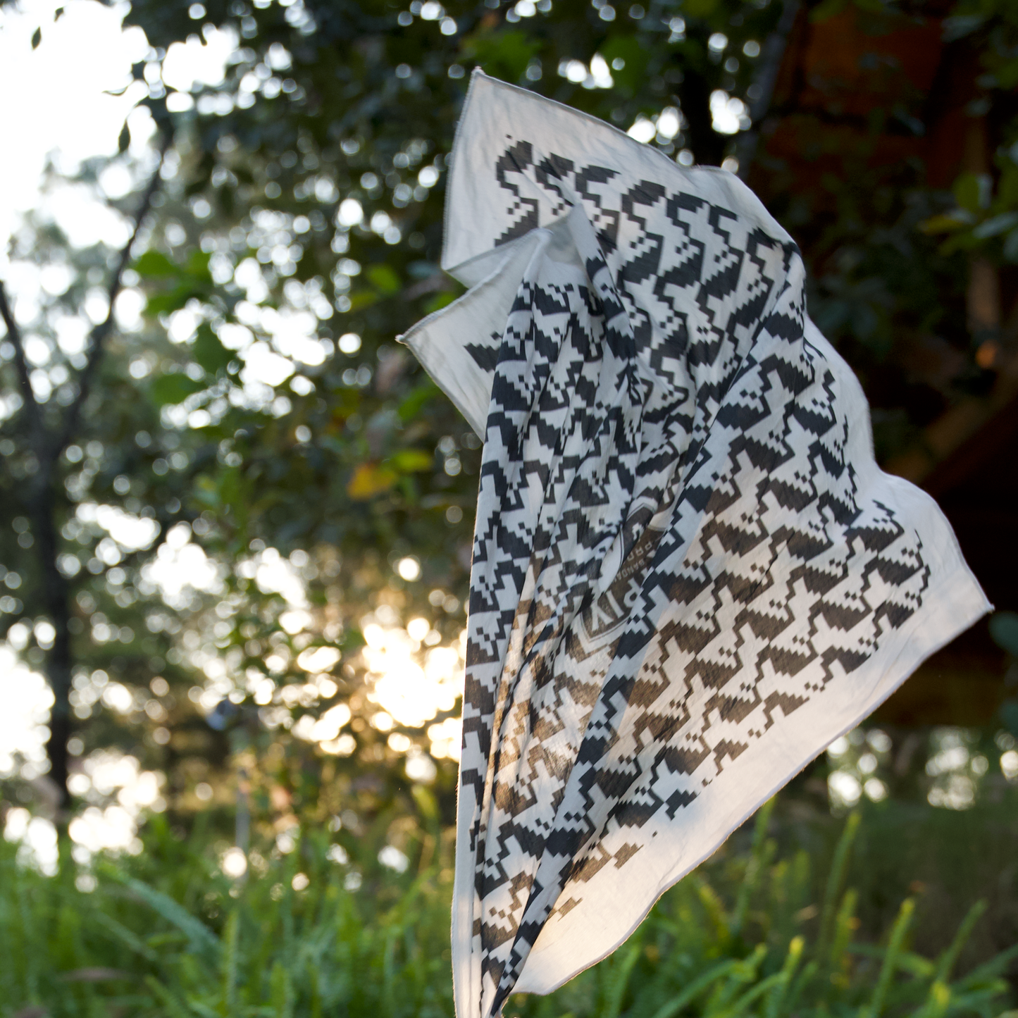 Bandana Xipix | México en un Pixel