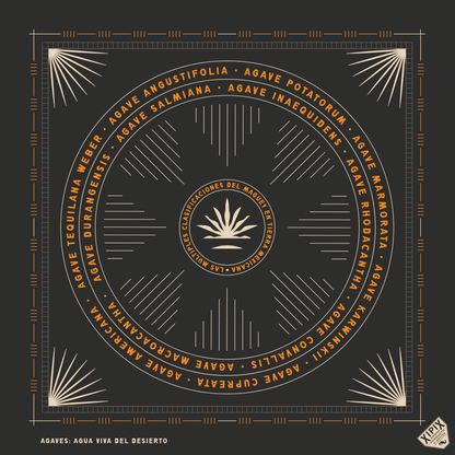 Bandana Xipix | Magueyes