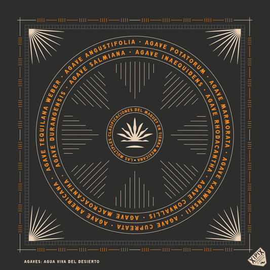 Bandana Xipix | Magueyes