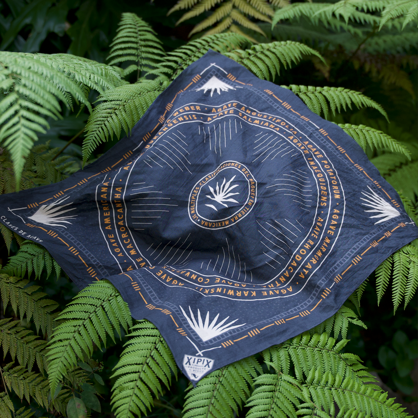 Bandana Xipix | Magueyes