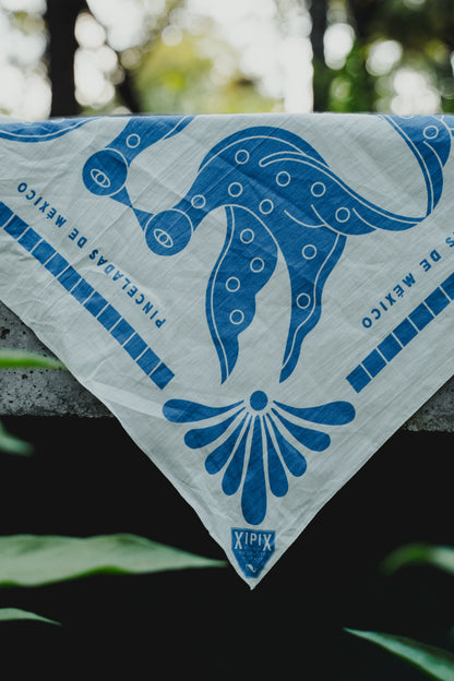 Bandana Xipix | Talavera